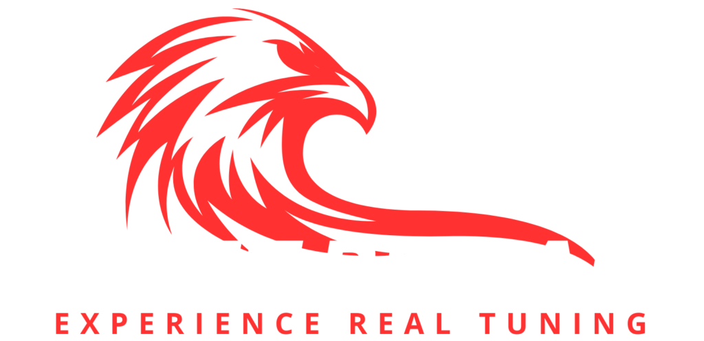 Red Eagle Gaming Free Logo 4 1 1